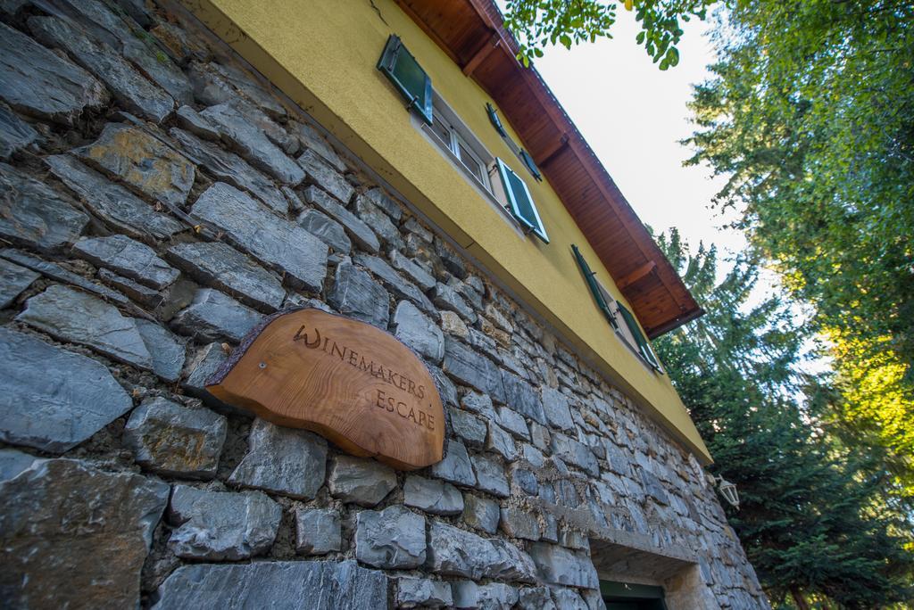 Winemakers Escape Villa Gleisdorf Exterior photo